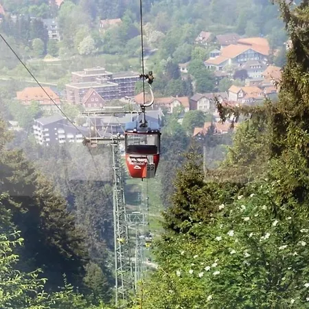 Apartment Ferienapartment 474