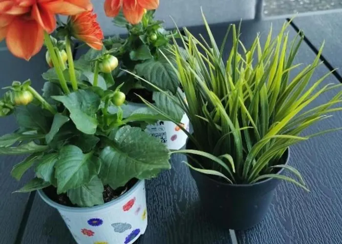 Ferienapartment 474 * Goslar