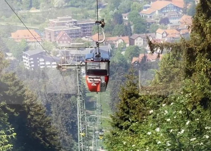 Apartment Ferienapartment 474